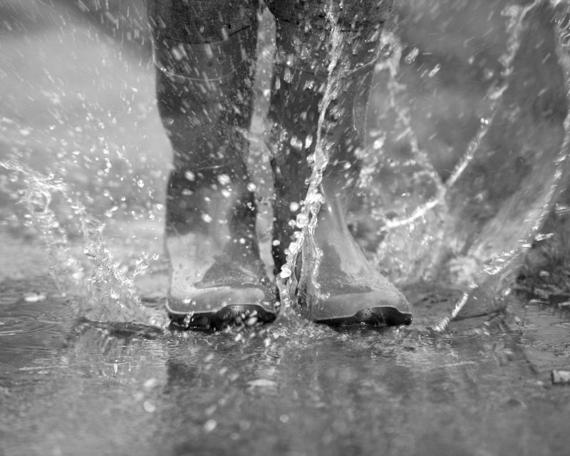 drainage contractors auckland drainage contractors auckland