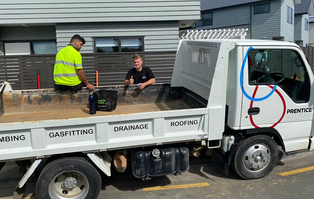 drainlayer drainlayer